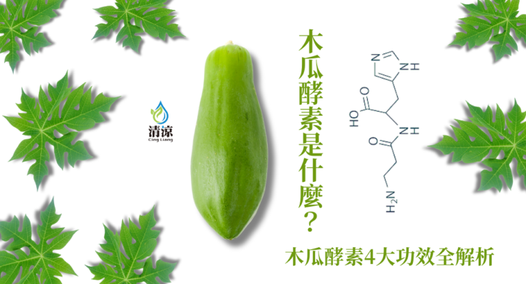 酵素飲推薦│木瓜酵素是什麼？木瓜酵素的4大功效全解析│清涼酵素
